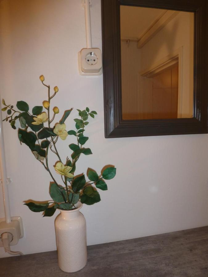 Huis De Roos De Kwakel Esterno foto