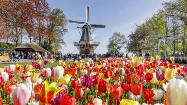 Huis De Roos De Kwakel Esterno foto