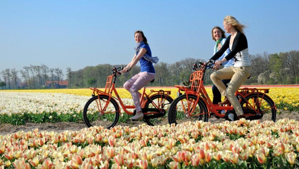 Huis De Roos De Kwakel Esterno foto